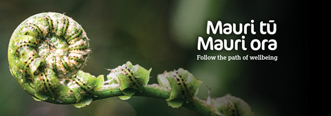 Study Health and Wellbeing through the lense of te ao Māori