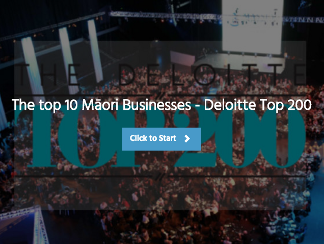 Top 10 Maori Business
