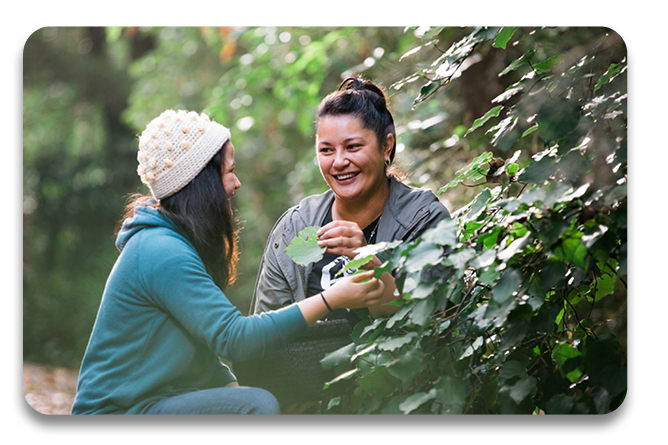 Certificate in Rongoa course at Te Wananga o Aotearoa