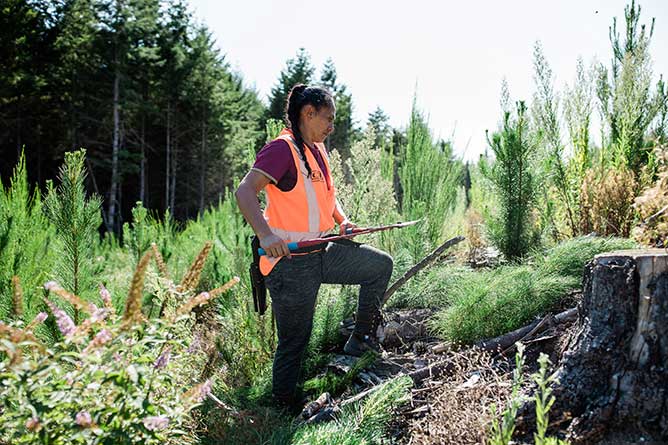 NZ Certificate in Forest Industry Foundation Skills