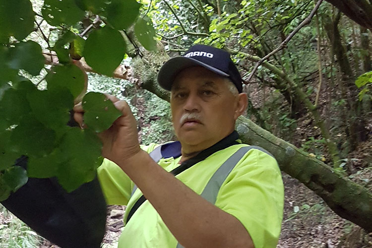Walter Herewini: Ōpotiki Tikanga Māori graduate