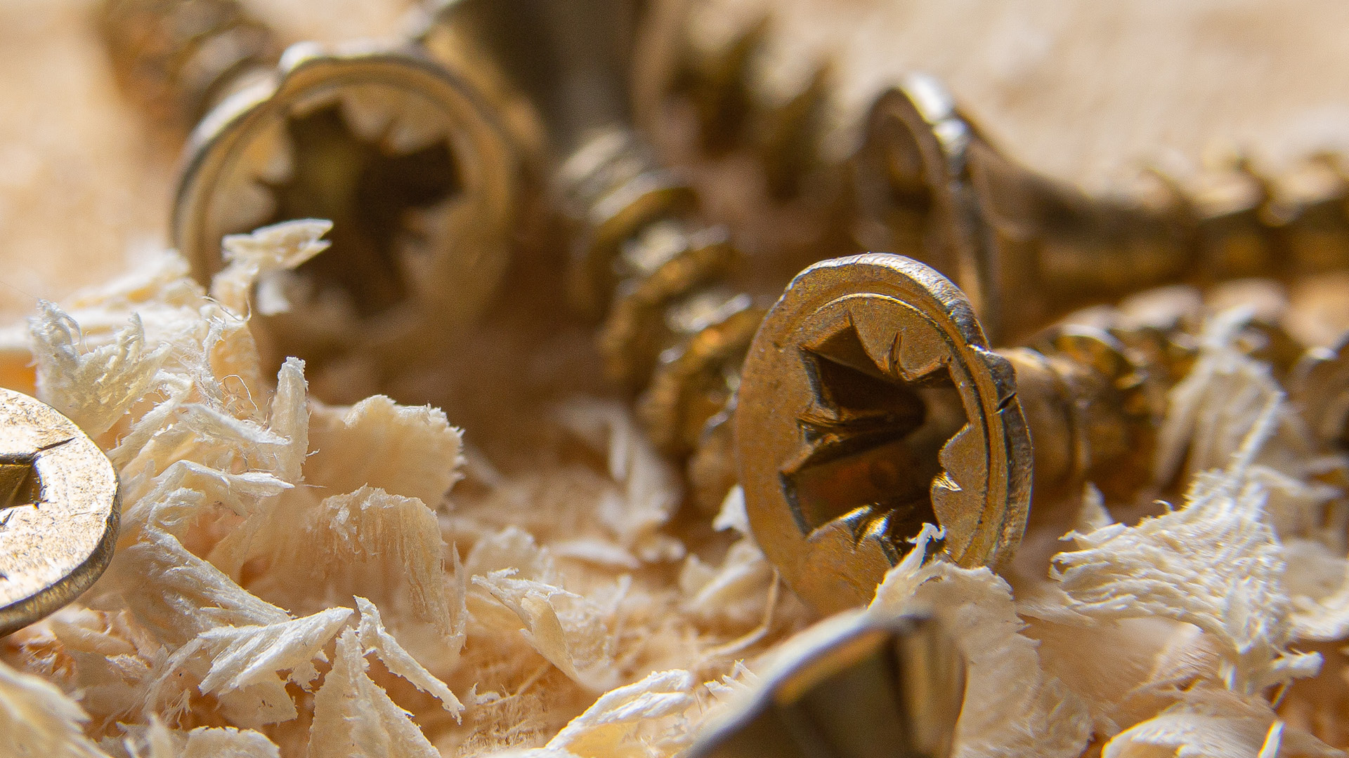 Te Wānanga o Aotearoa_Mahi ā-rehe_Construction Trade Skills - Carpentry L3