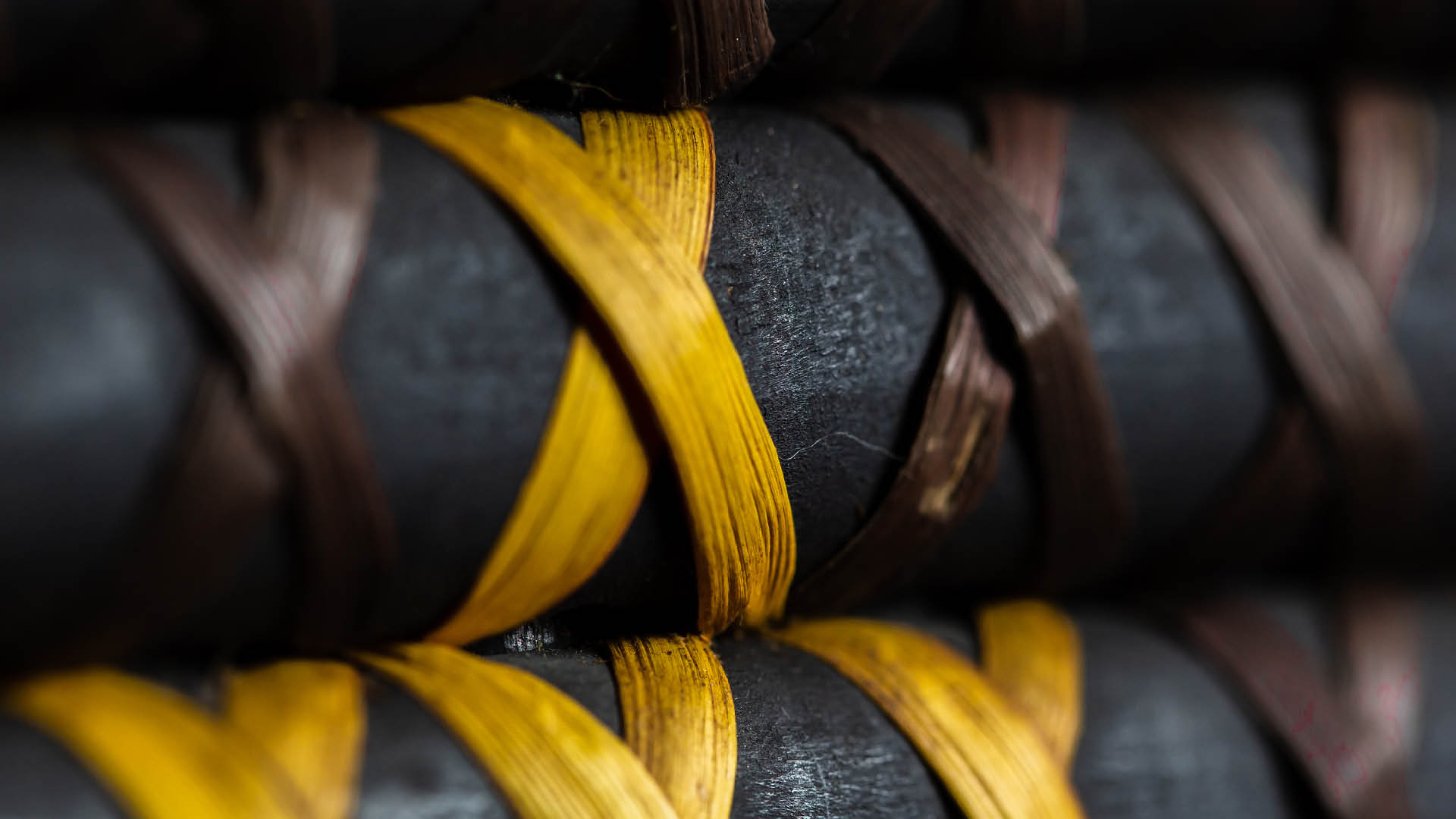 Te Wānanga o Aotearoa_Ratonga Papori - Ngā Poutoko Whakarara Oranga