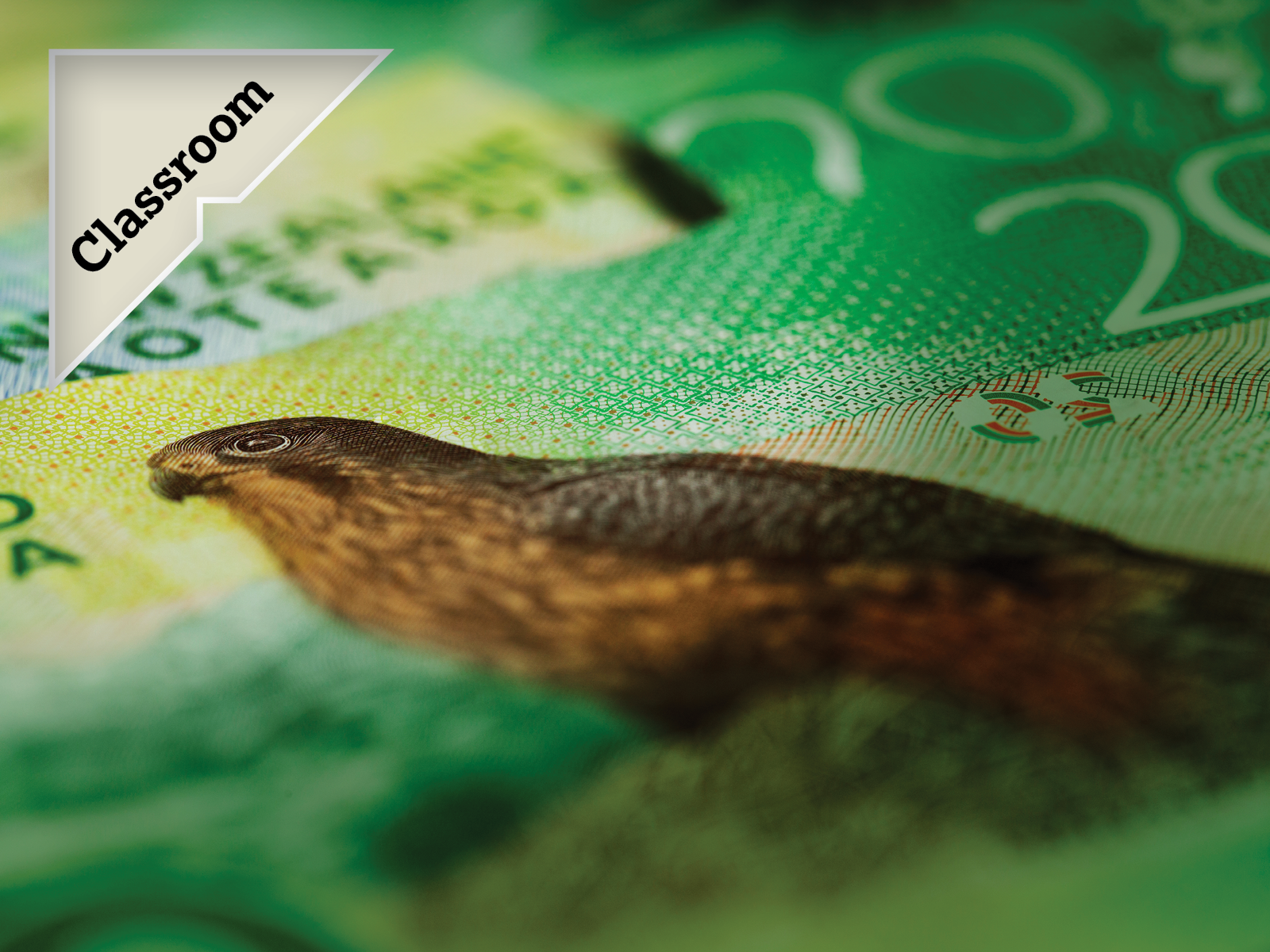 Close up of Karearea on twenty dollar note with callout badge for 'Classroom'