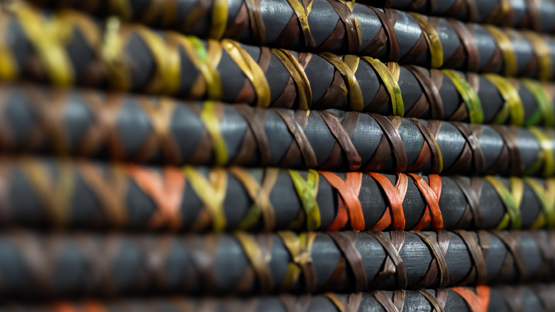 Te Wānanga o Aotearoa_Rātonga Pāporii