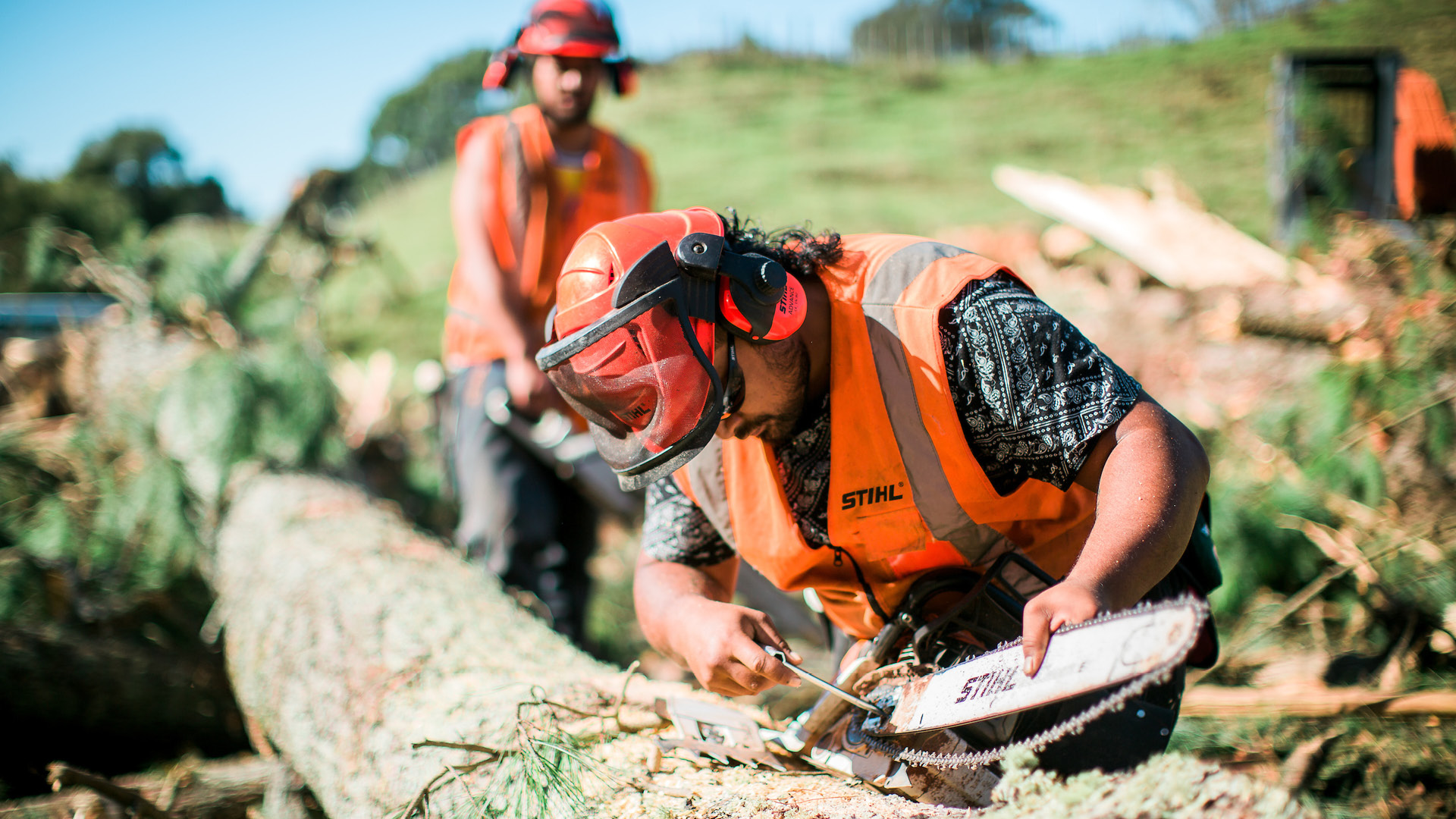 Te Wānanga o Aotearoa_Mahi ā-rehe_Thinning to Waste
