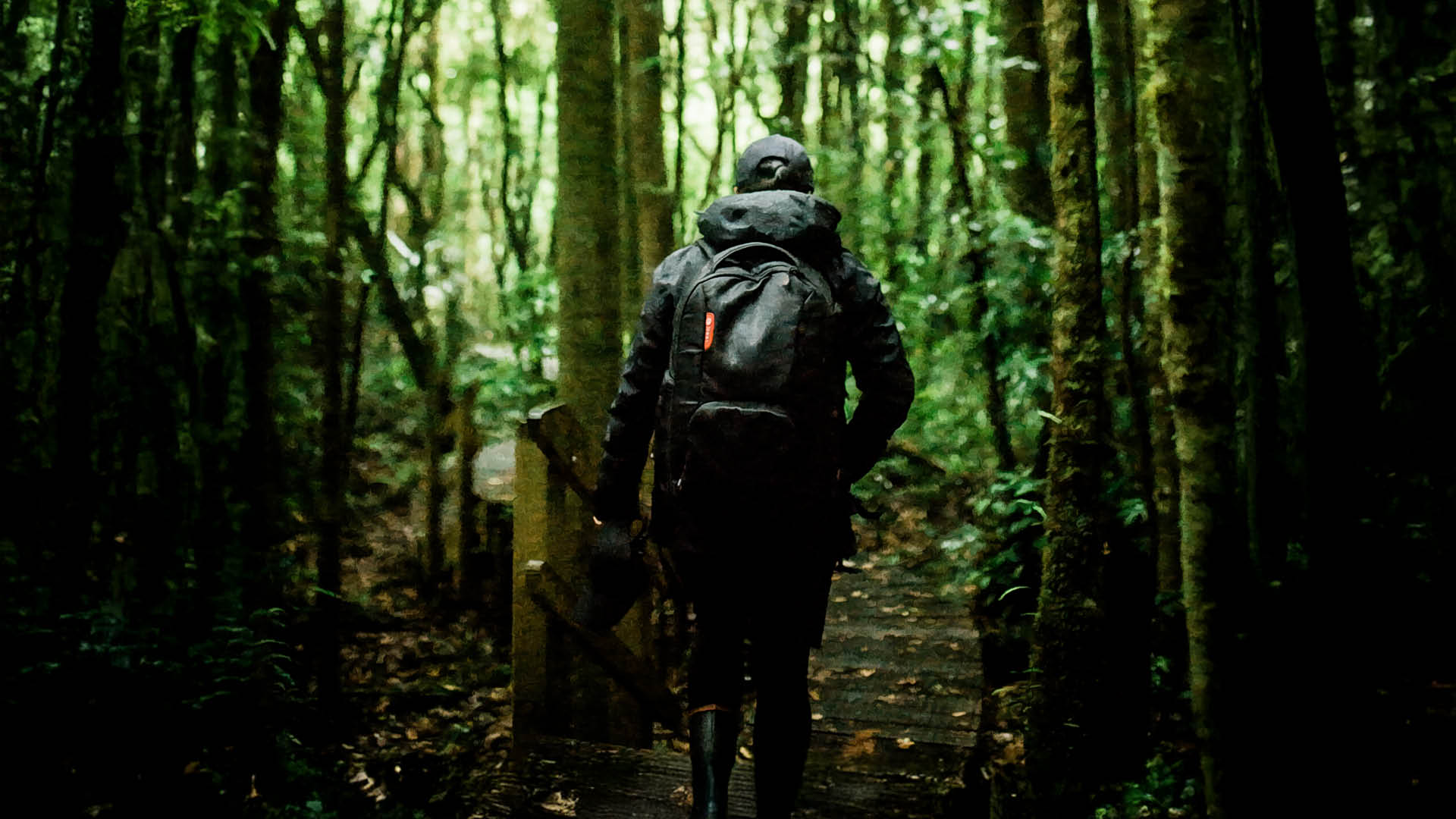 Te Wānanga o Aotearoa_Hauora