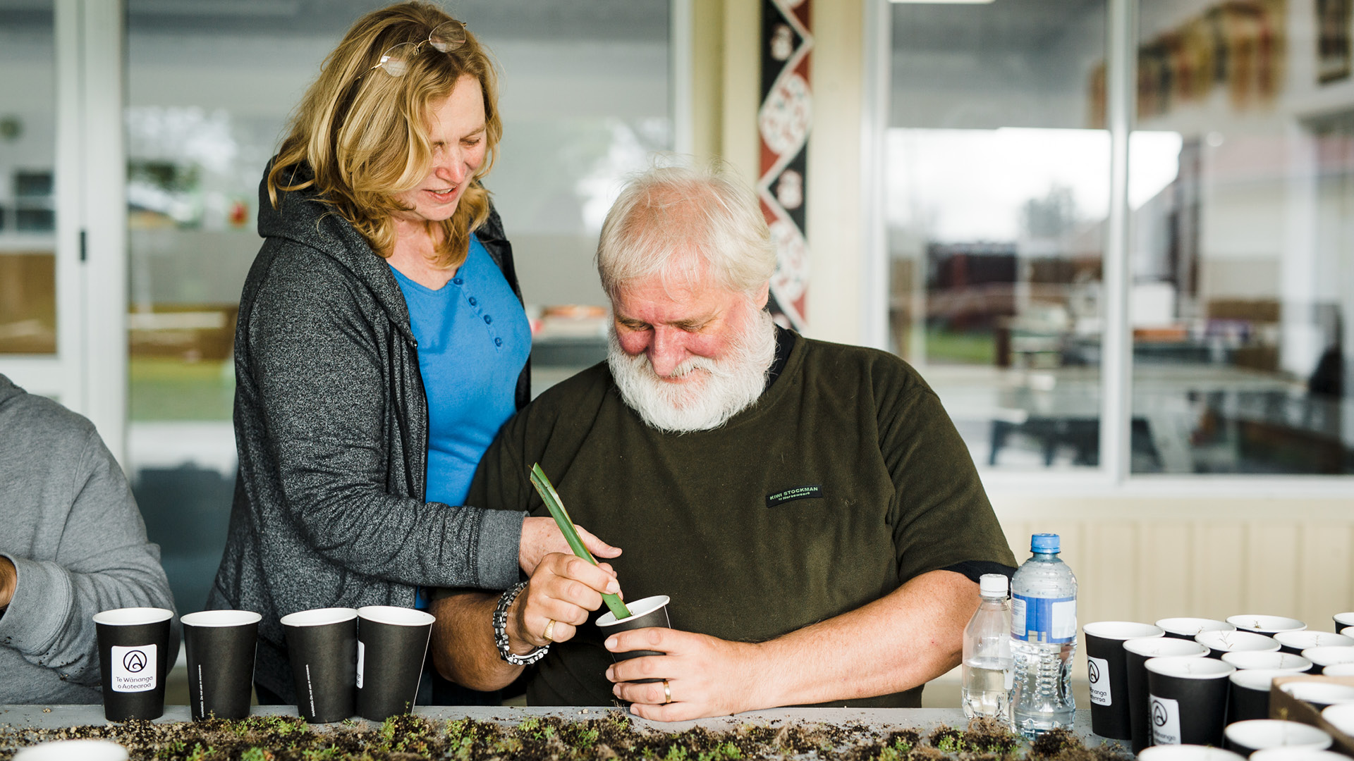 Te Wānanga o Aotearoa_Hauora Health & Wellbeing_Diploma in Rongoā