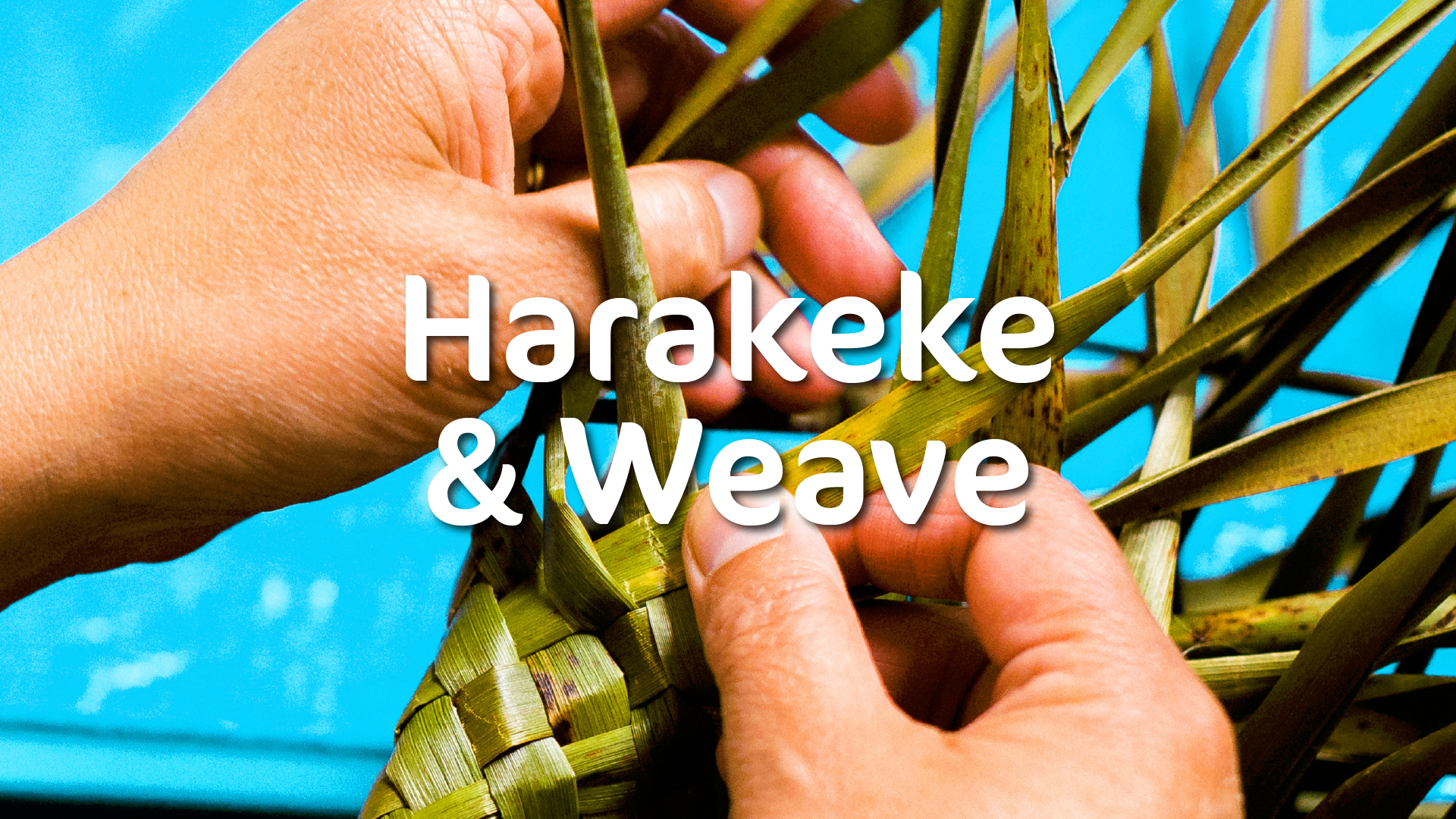Harakeke & Weave