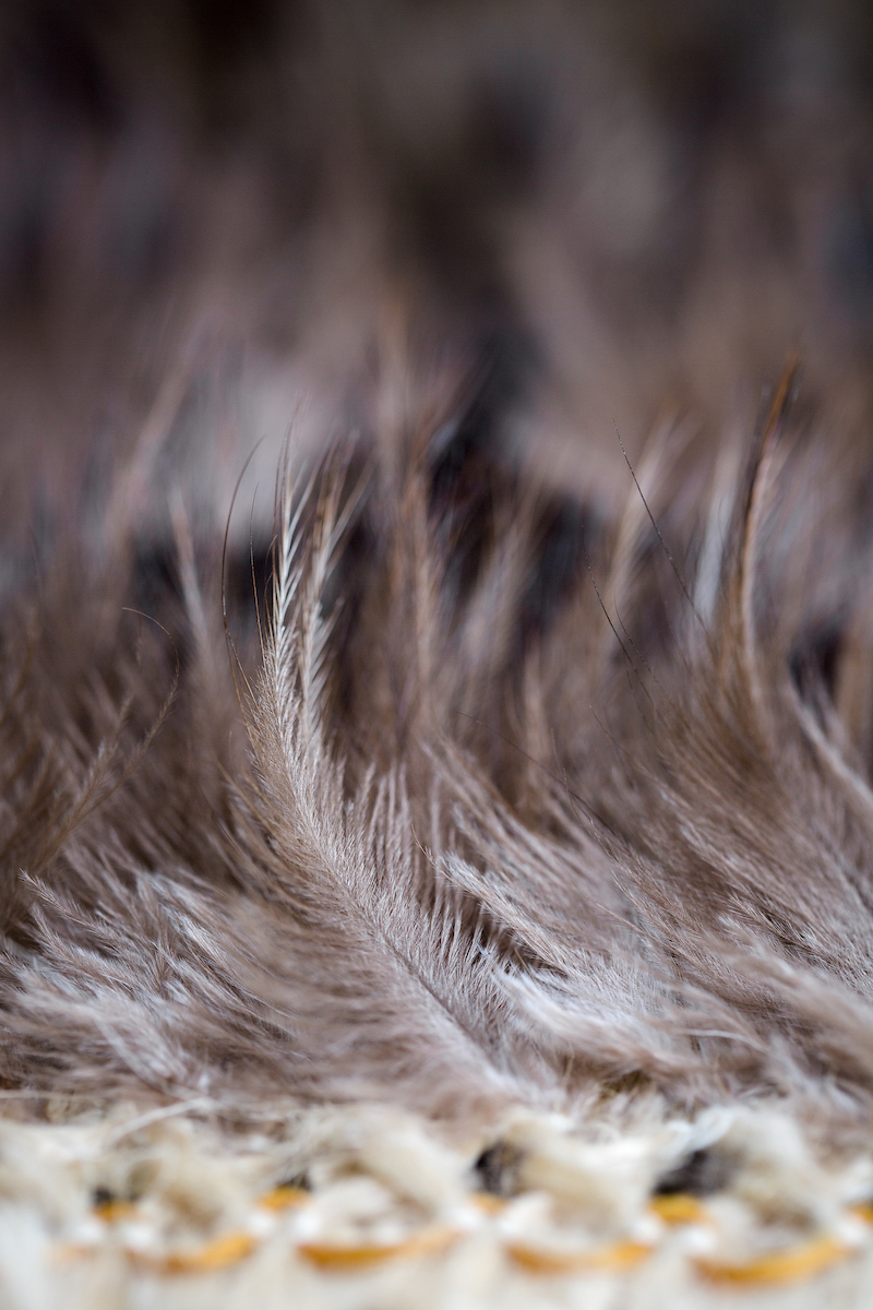 A close up of korowai feathers