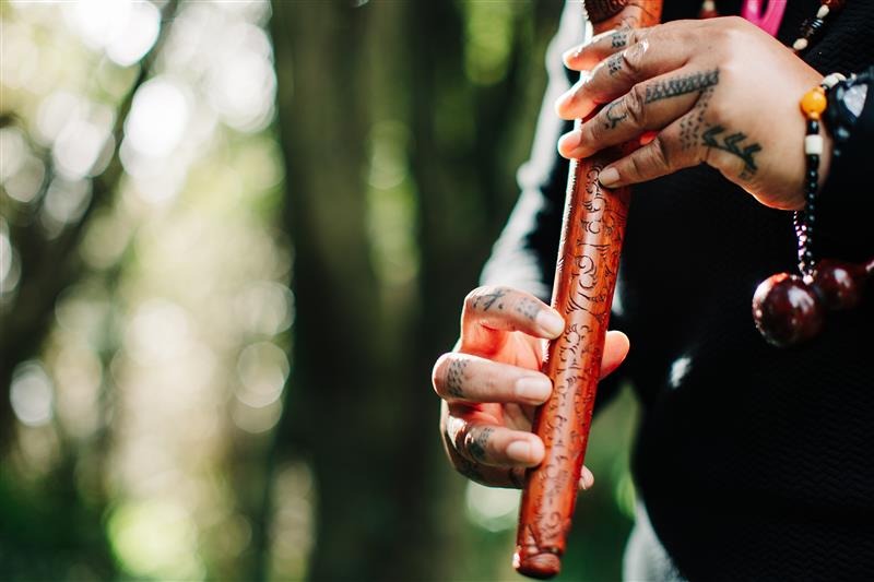 Te Wānanga o Aotearoa_Hauora Health & Wellbeing_Taonga Puoro