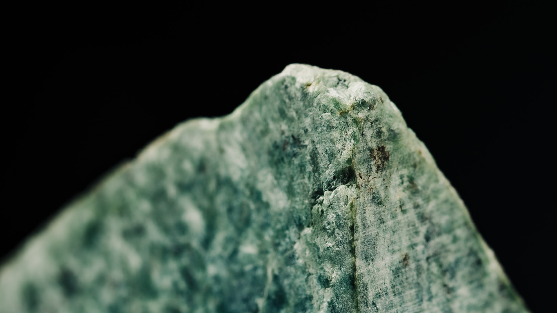 Te Wānanga o Aotearoa_Arahi Kaupapa_Introduction to Team Leadership