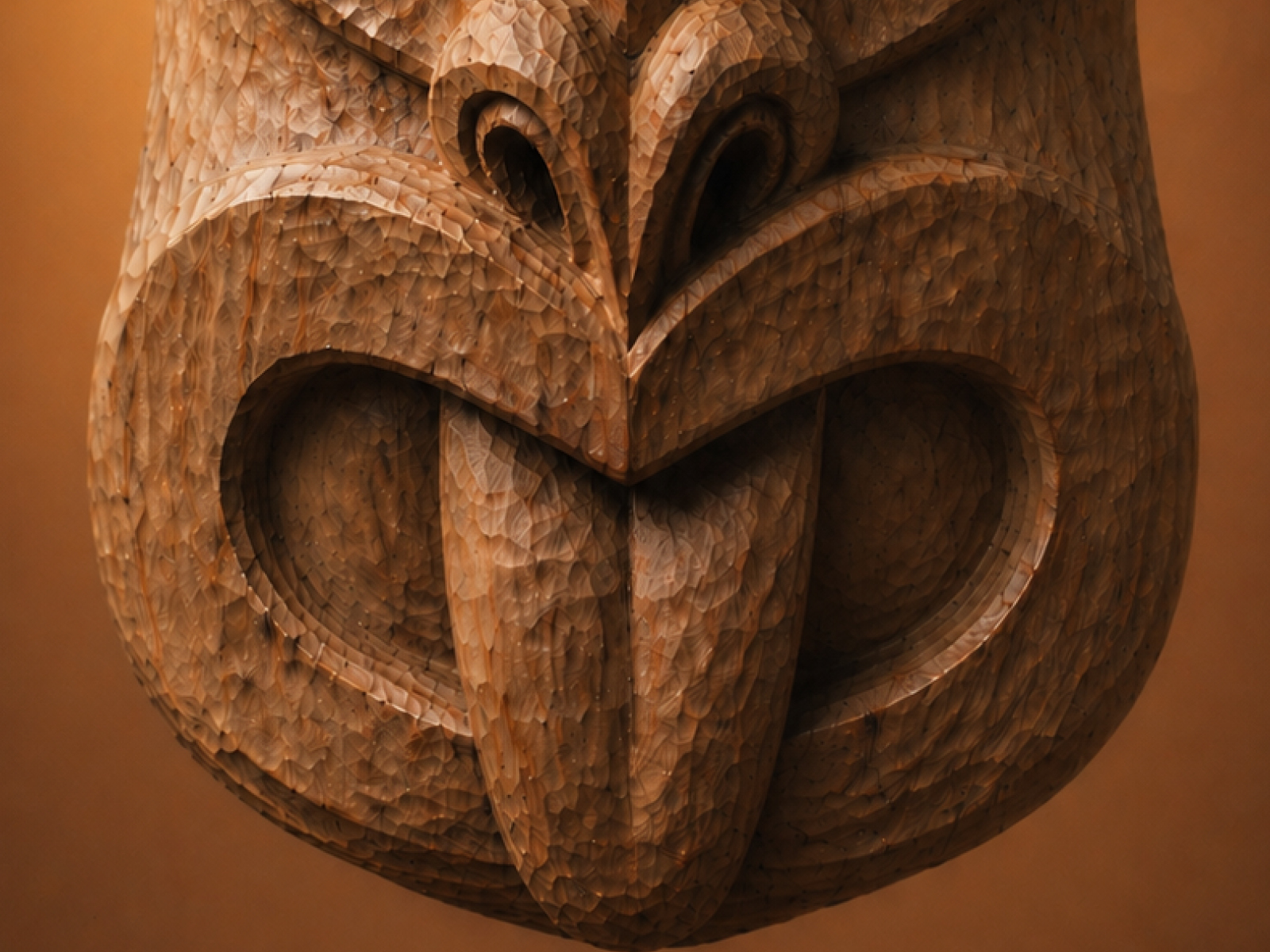 Te Wānanga o Aotearoa_Te Reo Māori_Te Kahupapa Level 1