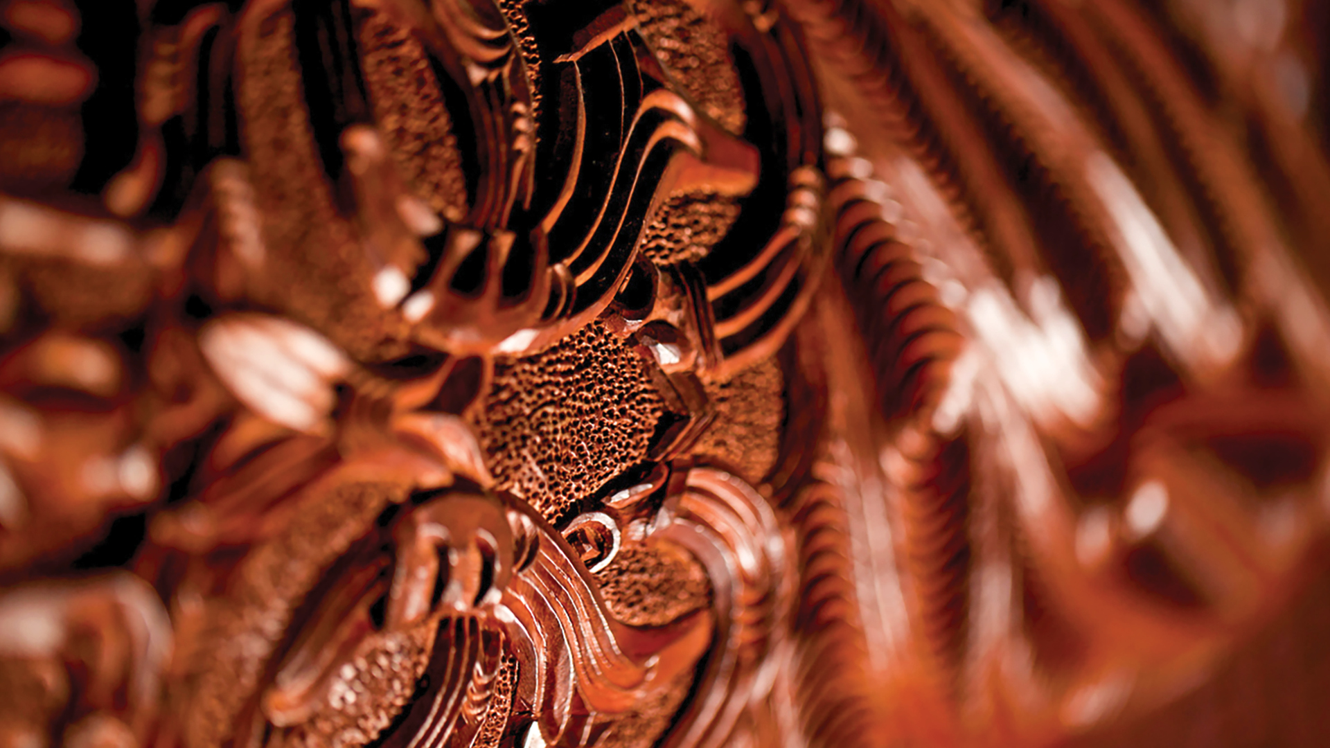 Te Wānanga o Aotearoa_Te Tirohanga Māori