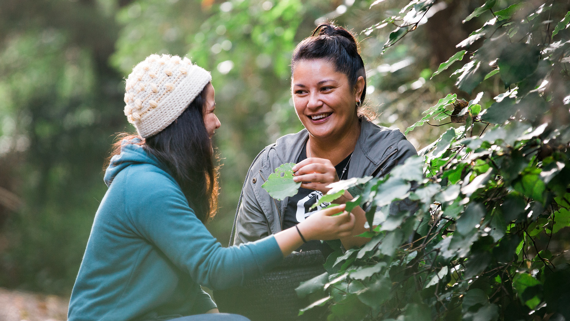 Te Wānanga o Aotearoa_Hauora Health & Wellbeing_Certificate in Rongoā