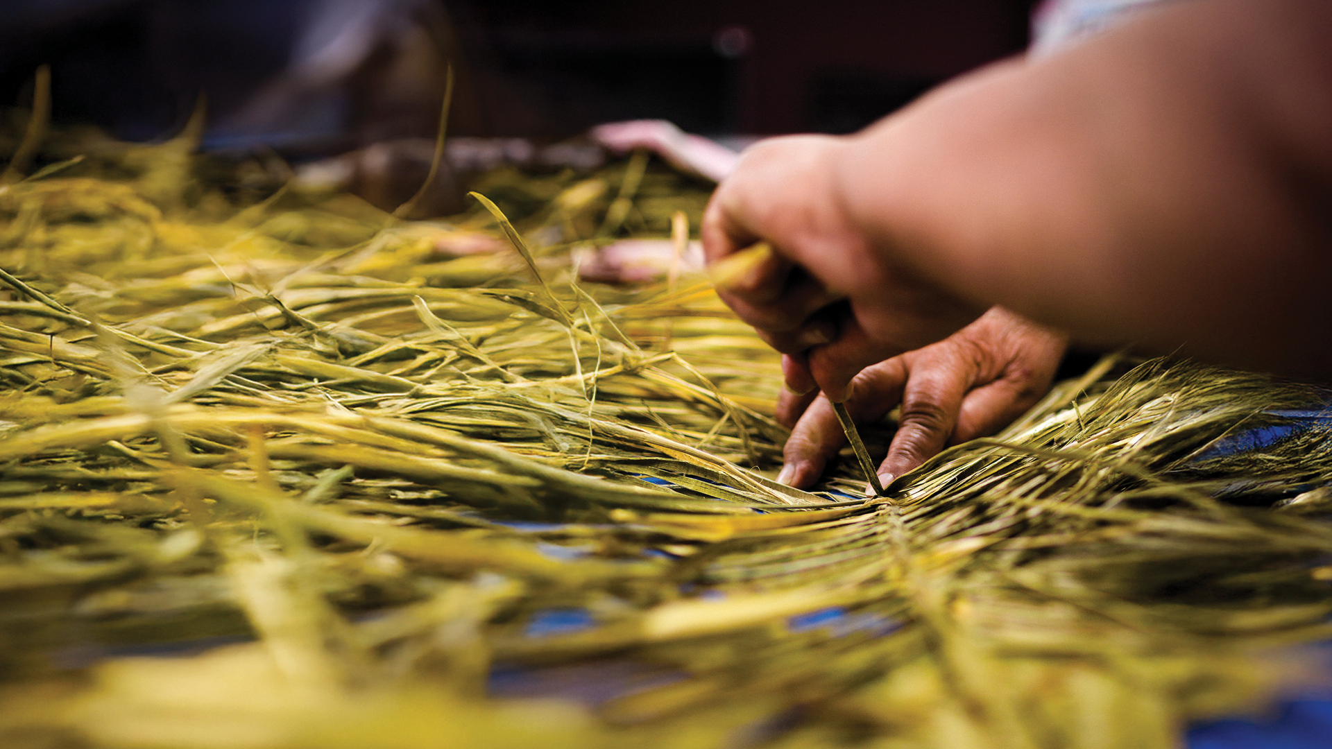 Te Wānanga o Aotearoa_Toi_Raranga_Toi Maruata_2026