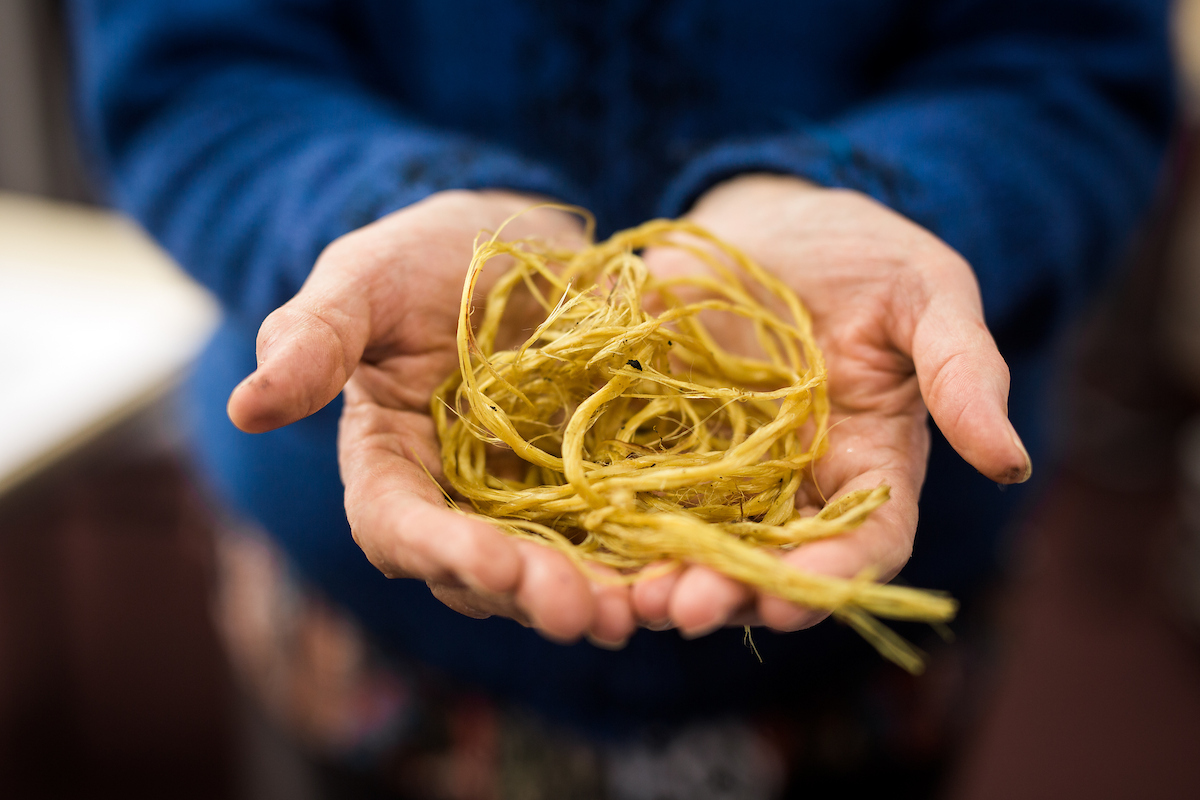 Hands holding a bundle of natural fibres