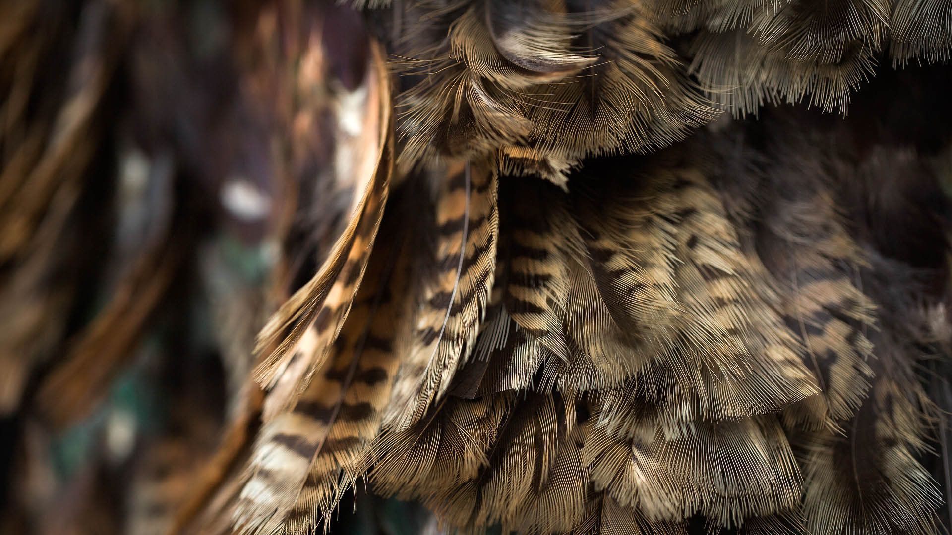 He Puāwaitanga close-up of graduation feather korowai motif