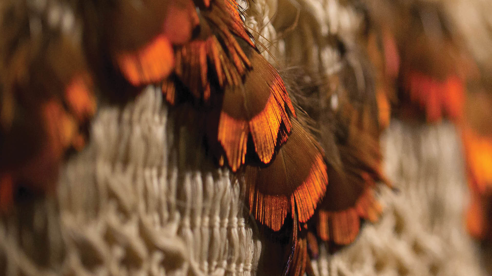 Te Wānanga o Aotearoa_Ako Education. Close up of korowai with weaving and feathers. 
