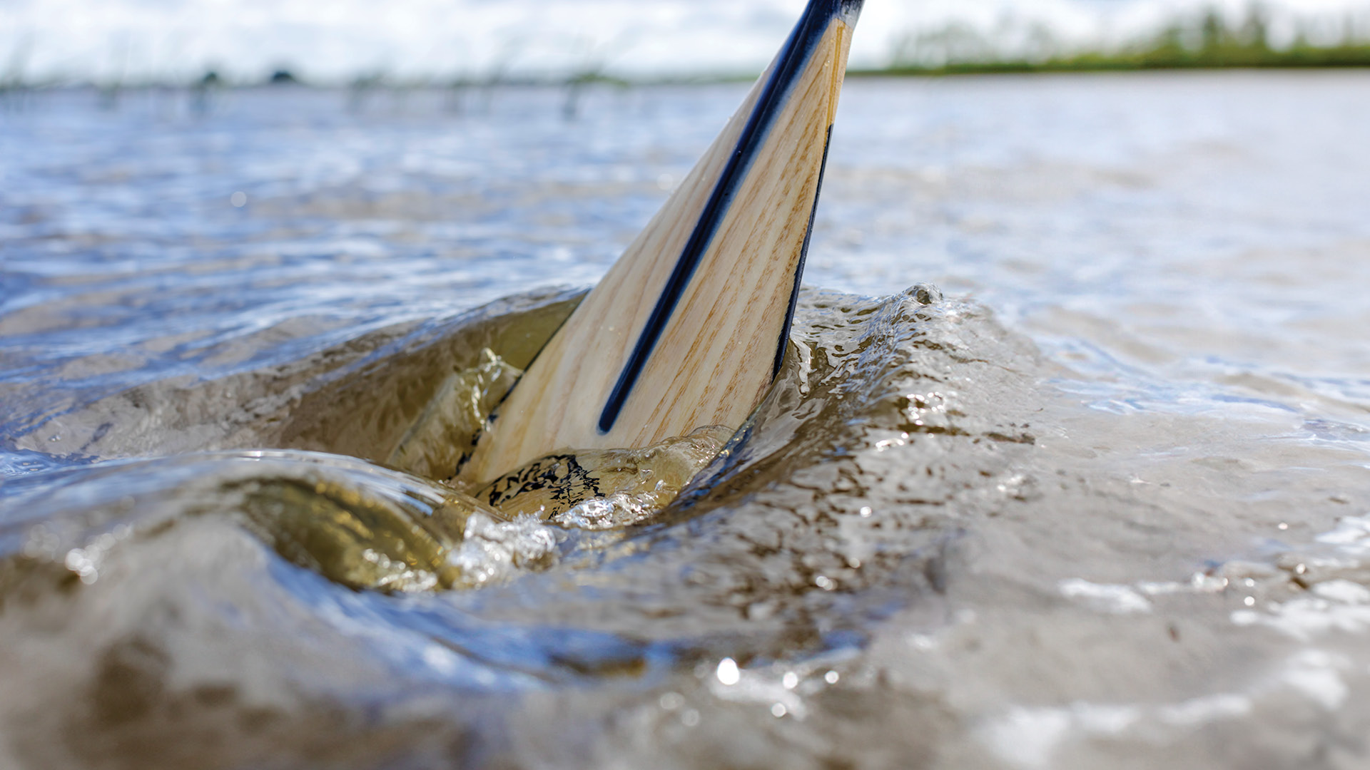 Te Wānanga o Aotearoa_Hauora Health & Wellbeing_Certificate in Waka