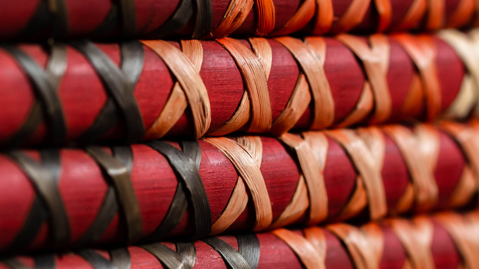 Te Wānanga o Aotearoa_Ratonga Papori - Manaaki Tāngata